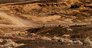 NBA｜魔术终止骑士连胜 雷霆双杀公鹿